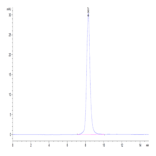Cynomolgus IL-18 R1/CD218a Protein (IL8-CM1R1)