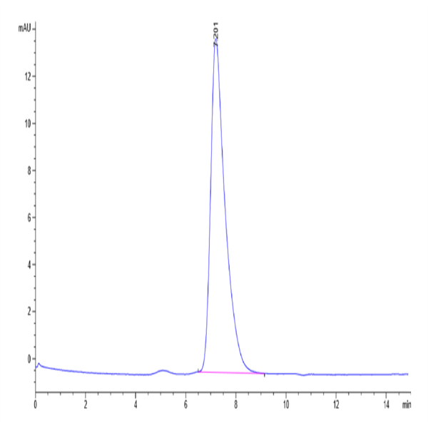 Human IL-18RAP Protein (IL8-HM1AP)