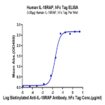 Human IL-18RAP Protein BP005028 Syd Labs