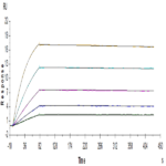 Human IL-18BP Protein BP004887 Syd Labs
