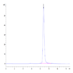 Mouse IL-18RAP Protein BP004857 Syd Labs