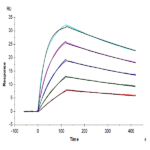 Mouse IL-18BP Protein BP004873 Syd Labs