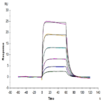 Mouse IL-18 R1/CD218a Protein BP004725 Syd Labs