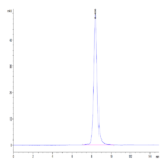 Mouse IL-18 R1/CD218a Protein (IL8-MM1R1)