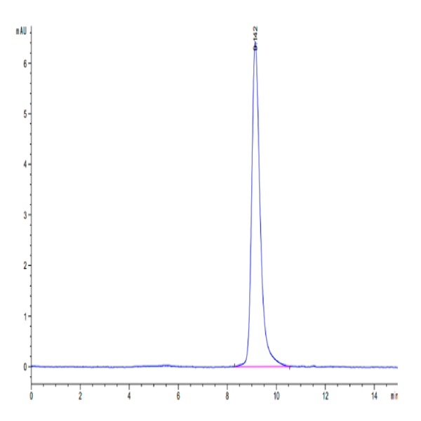 Human IL-9 Protein (IL9-HM101)