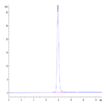 Human IL-19 Protein BP004522 Syd Labs