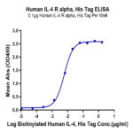 Human IL-4 R alpha/CD124 Protein BP005351 Syd Labs
