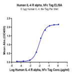 Human IL-4 R alpha/CD124 Protein BP005003 Syd Labs