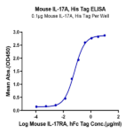 Mouse IL-17A/CTLA-8 Protein BP005476 Syd Labs