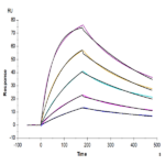 Cynomolgus IL-17F Protein BP005181 Syd Labs