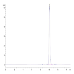 Human IL-1F10/IL-38 Protein BP003337 Syd Labs