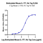 Biotinylated Mouse IL-17F Protein BP004286 Syd Labs