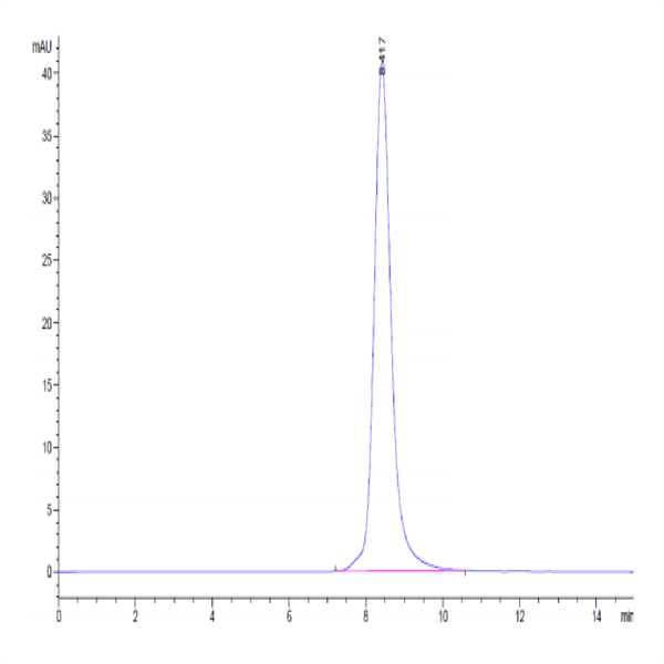 Cynomolgus IL-13Ra1 Protein (ILR-CM1R1)