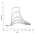 Human IL-11R alpha Protein BP004261 Syd Labs