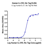 Human IL-21R Protein BP003657 Syd Labs