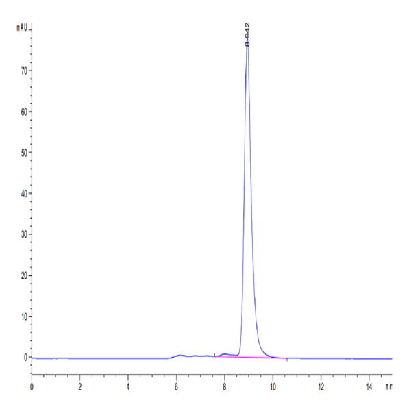 Human IL-21R Protein (ILR-HM121)