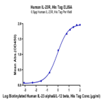Human IL-23R Protein (ILR-HM123)
