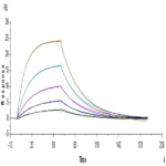 Human IL-13Ra1 Protein BP004978 Syd Labs