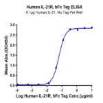 Human IL-21R Protein BP005050 Syd Labs