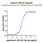 Human IL-23R Protein BP003311 Syd Labs