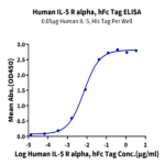 Human IL-5 R alpha/CD125 Protein BP004821 Syd Labs