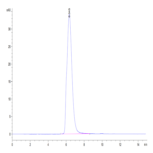 Human IL-5 R alpha/CD125 Protein (ILR-HM25R)