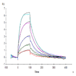 Human IL-13Ra1 Protein BP005451 Syd Labs