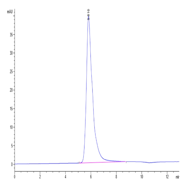Human IL-13Ra2 Protein (ILR-HM2R2)