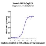 Human IL-1R3/IL-1 RAcP Protein BP004828 Syd Labs