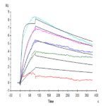 Human IL-31 RA Protein BP004910 Syd Labs