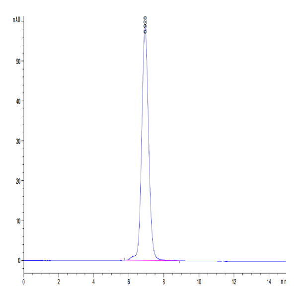 Human IL-31 RA Protein (ILR-HM2RA)