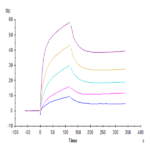 Human IL-6 R alpha/CD126 Protein BP005420 Syd Labs