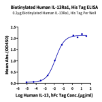 Biotinylated Human IL-13Ra1 Protein BP005000 Syd Labs
