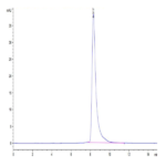 Mouse IL-11R alpha Protein BP003849 Syd Labs
