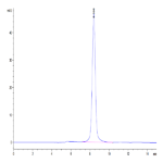Mouse IL-5 R alpha/CD125 Protein (ILR-MM15R)