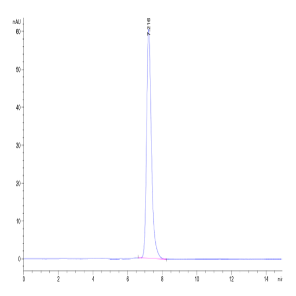 Rat IL-13Ra2 Protein (ILR-RM2R2)