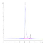Mouse IGSF11 Protein BP003902 Syd Labs