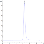 Human ITGB6 Protein BP005230 Syd Labs