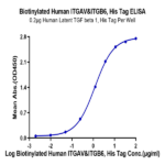Biotinylated Human Integrin alpha V beta 6 (ITGAV&ITGB6) Heterodimer Protein BP004118 Syd Labs