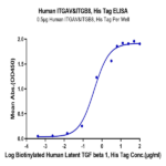 Human Integrin alpha V beta 8 (ITGAV&ITGB8) Heterodimer Protein BP005189 Syd Labs