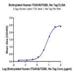 Biotinylated Human Integrin alpha V beta 8 (ITGAV&ITGB8) Heterodimer Protein BP003955 Syd Labs