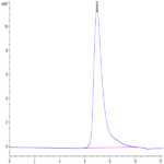 Mouse ITGB6 Protein BP005229 Syd Labs