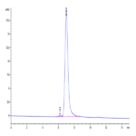 Mouse Integrin alpha V beta 3 (ITGAV&ITGB3) Heterodimer Protein BP003883 Syd Labs
