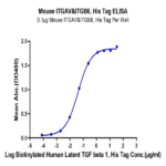 Mouse Integrin alpha V beta 6 (ITGAV&ITGB6) Heterodimer Protein BP004232 Syd Labs