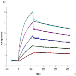 Mouse Integrin alpha V beta 3 (ITGAV&ITGB3) Heterodimer Protein BP003834 Syd Labs