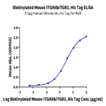 Biotinylated Mouse Integrin alpha V beta 3 (ITGAV&ITGB3) Heterodimer Protein BP003611 Syd Labs