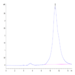 Human JAML Protein BP004834 Syd Labs