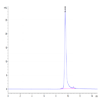 Biotinylated Human FGF-7 Protein BP004366 Syd Labs