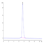 Human KIR2DL1 Protein BP005545 Syd Labs