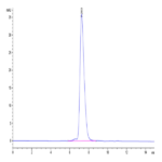 Biotinylated Human KIR2DL1 Protein BP005624 Syd Labs